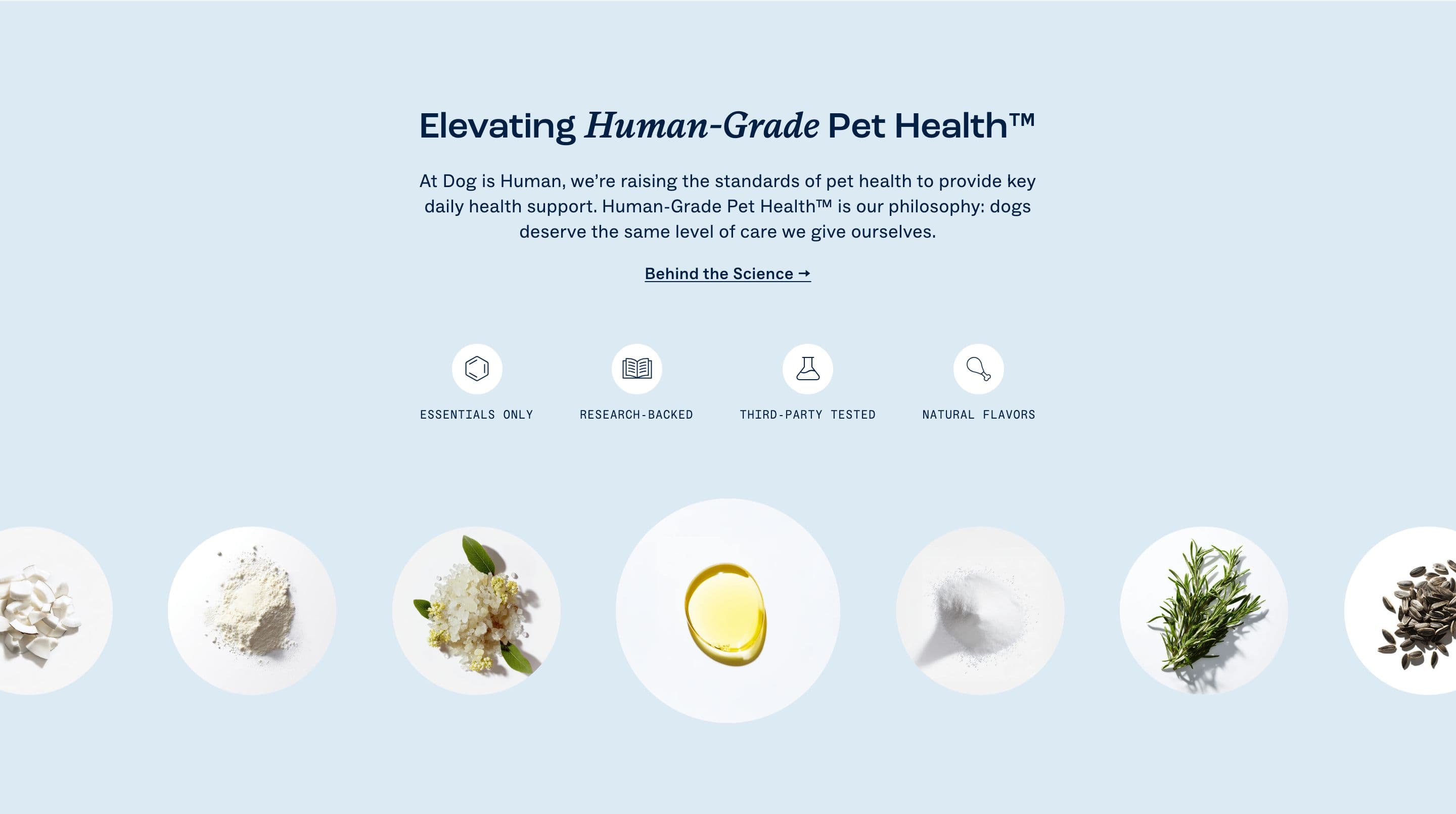 Benefit Row & Icon Features section from Dog Is Human, a pet Shopify store — desktop screenshot