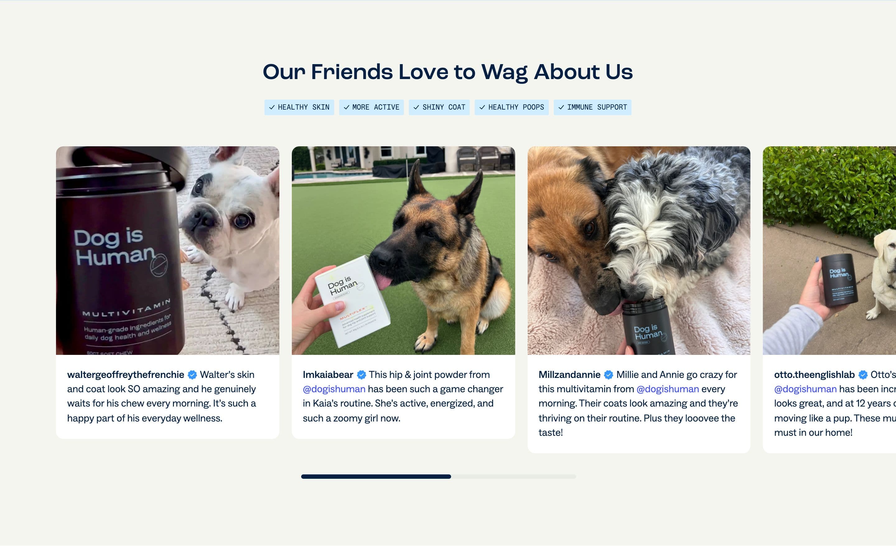Reviews & Ratings section from Dog Is Human, a pet Shopify store — desktop screenshot