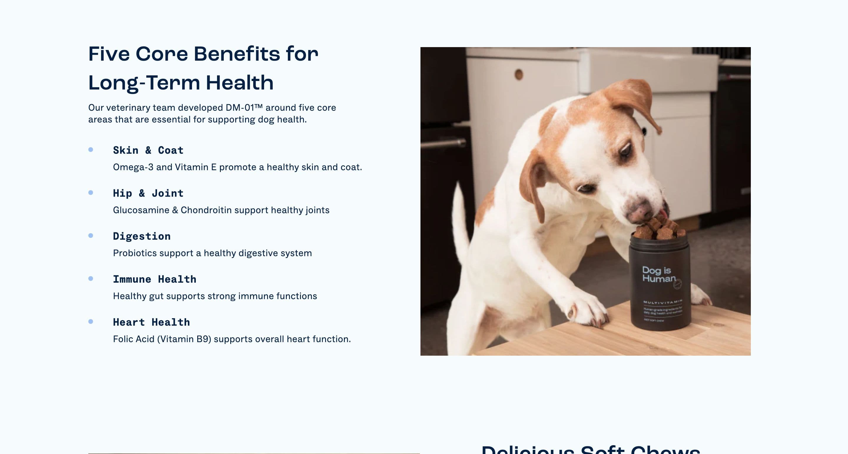 Benefit Row & Icon Features section from Dog Is Human, a pet Shopify store — desktop screenshot