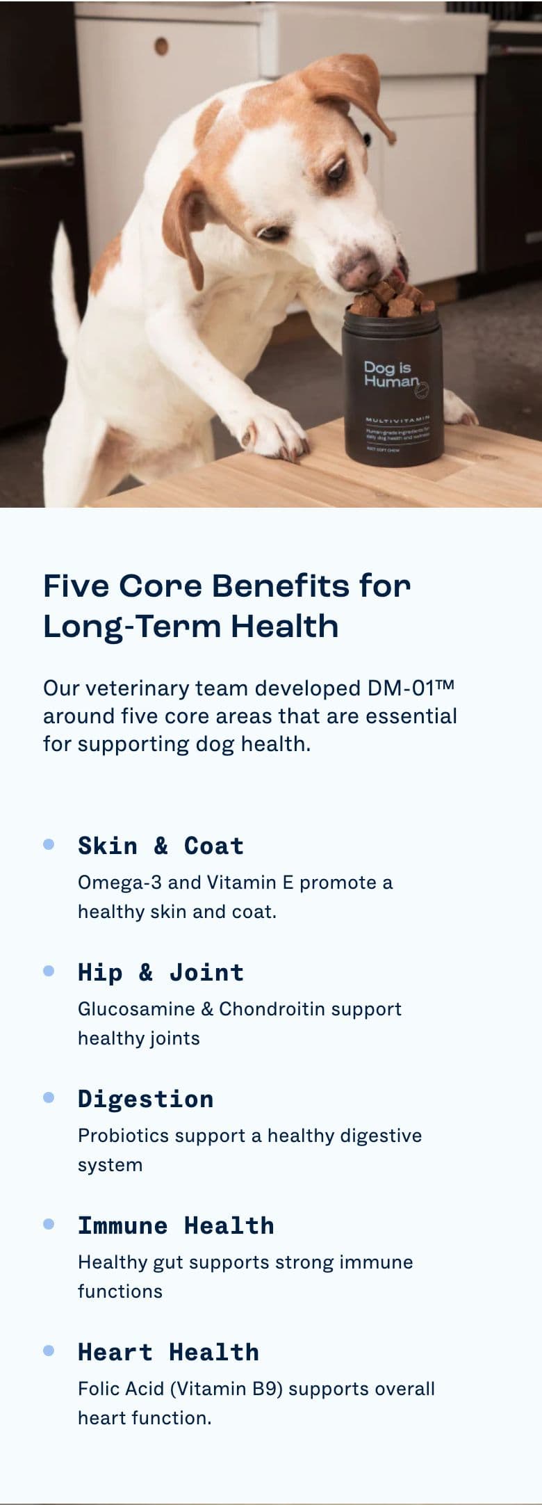 Benefit Row & Icon Features section from Dog Is Human, a pet Shopify store — mobile screenshot