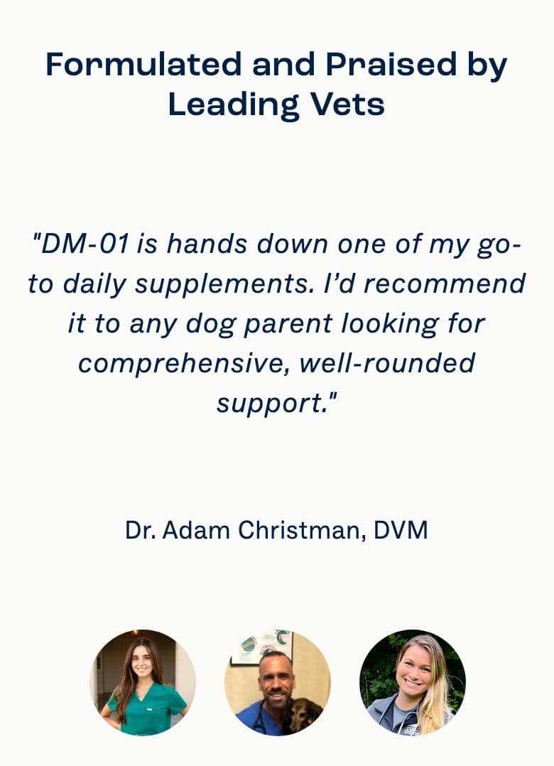 Testimonial section from Dog Is Human, a pet Shopify store — mobile screenshot